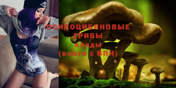 соль ск Волоколамск