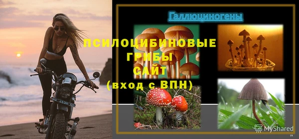 прущий лед Володарск