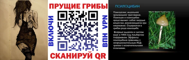 Галлюциногенные грибы мухоморы  Иннополис 